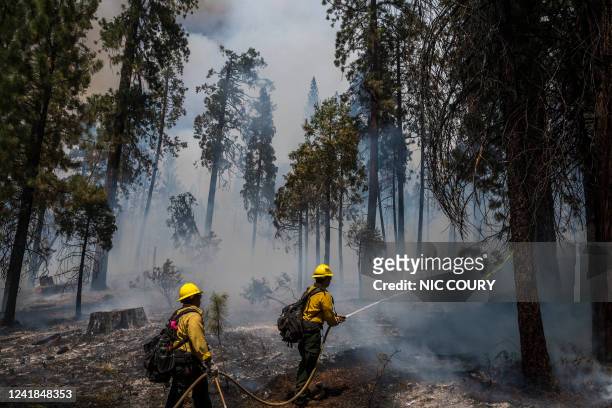 Firefighters put out hot spots from the Washburn Fire in Yosemite National Park, California, July 11, 2022. Hundreds of firefighters scrambled Monday...