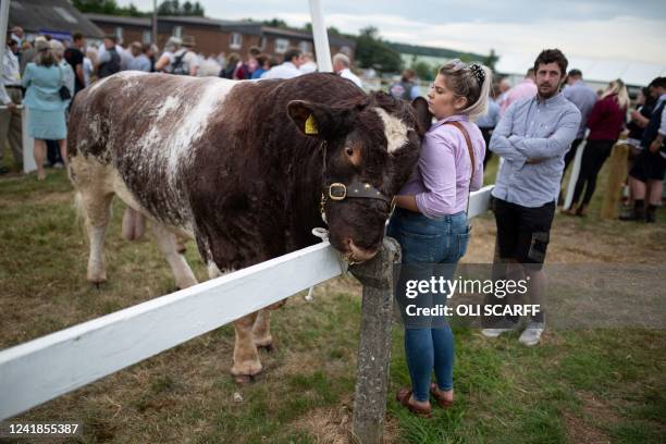 Woman cuddles her bull after it's been judged on the first day of the Great Yorkshire Show in Harrogate, northern England on July 12, 2022. - The...