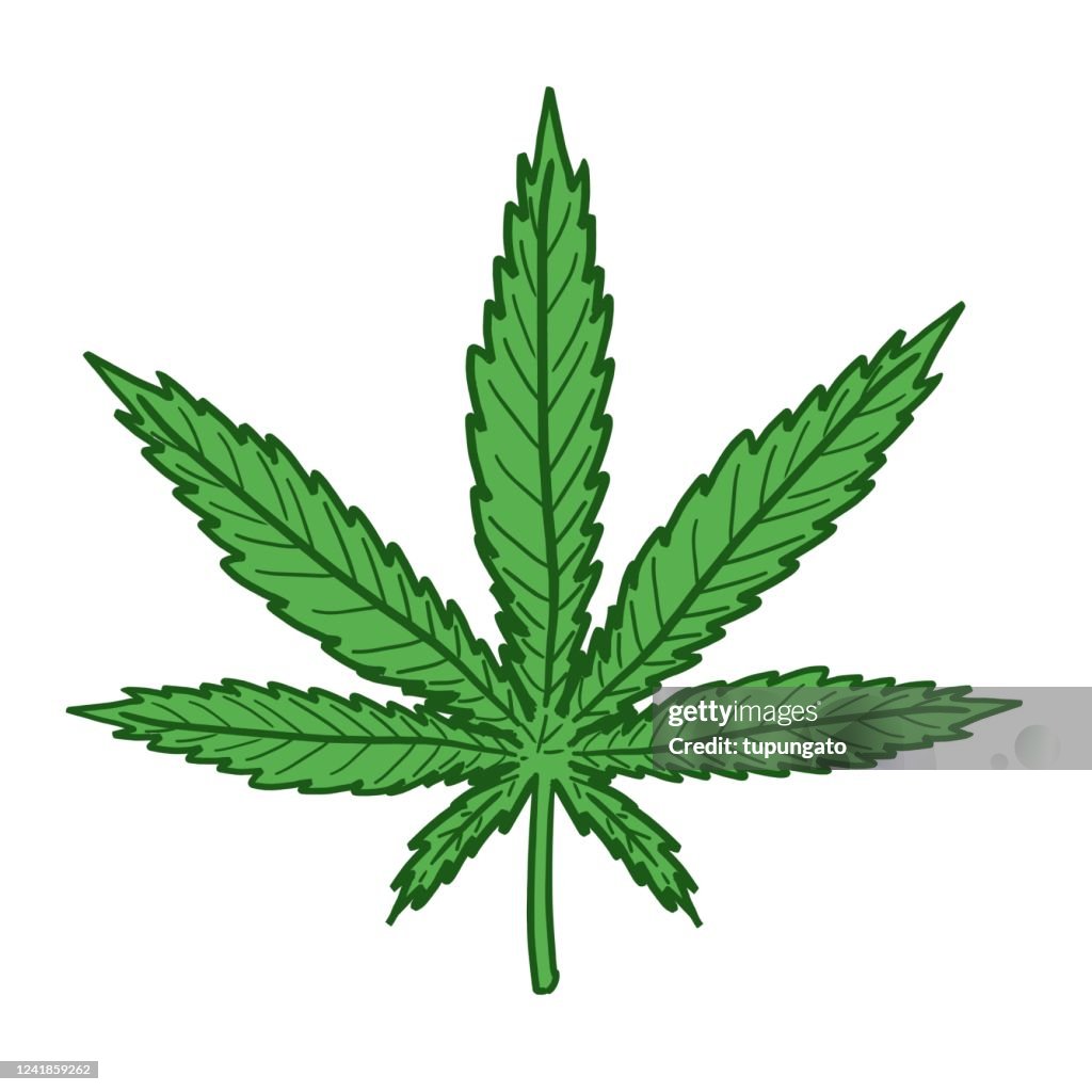 Weed Draw Marijuana Leaf Drawing High-Res Vector Graphic - Getty Images