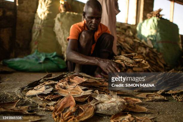 Man sorts dried fish ready to be packed for different destinations at the shores of Lake Turkana in Loiyangalani area, in Marsabit, northern Kenya,...