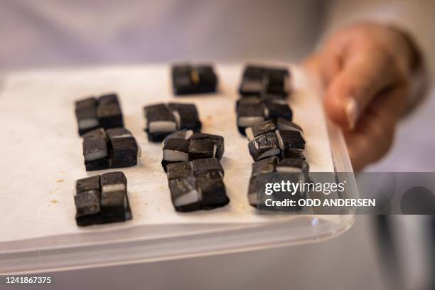 Double-Michelin-starred Faroese chef of KOKS restaurant Poul Andrias Ziska holds a plate of "Matak" consisting of whale skin and blubber in the...