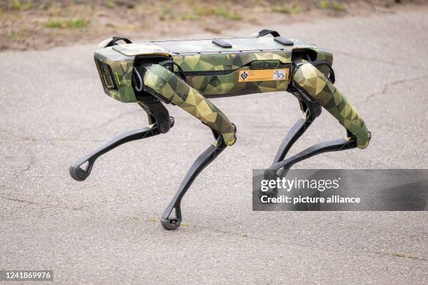 July 2022, Lower Saxony, Munster: The Bundeswehr robot dog Wolfgang 001. Photo: Mohssen Assanimoghaddam/dpa