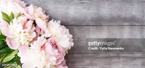beautiful bouquet of fresh pink peony flowers in full bloom on gray background, close up, top view. copy space. concept of happy mother's day, birthday card or valentine's day. - happy birthday flowers images stock pictures, royalty-free photos & images