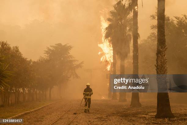 Fire extinguishing works continue for the forest fire close to houses in Palmela next to national road N252 in Palmela, Portugal. The fire started...