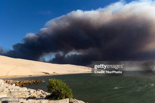 Since July 12, there has been a violent forest fire in Gironde near the Dune du Pilat, which had to be exceptionally closed, in the forest of...