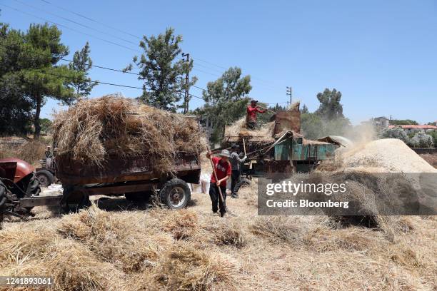 Workers feed harvested wheat into a threshing machine and also load it onto a tractor trailer on a farm in Nabatieh, Lebanon, on Wednesday, July 13,...