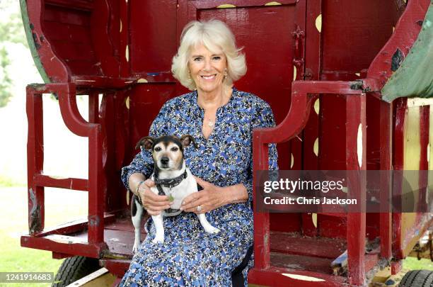 In this image released on July 18 HRH Camilla, Duchess of Cornwall poses for an official portrait to mark HRH's 75th birthday at her home in...