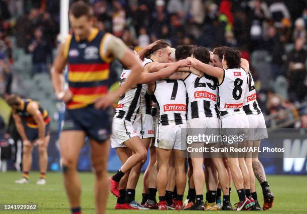 Collingwood players surround Scott Pendlebury after the win during the 2022 AFL Round 18 match between the Adelaide Crows and the Collingwood Magpies...