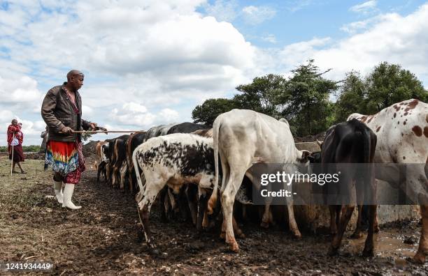 Handeni Handeni Photos and Premium High Res Pictures - Getty Images