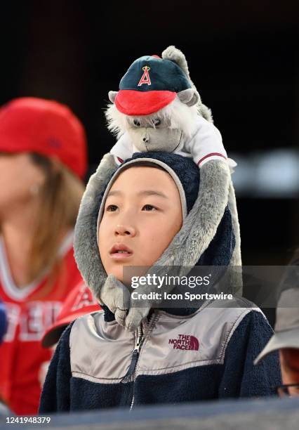 Young fan wears his Angels rally monkey on his head during an MLB baseball game between the Los Angeles Dodgers and the Los Angeles Angels played on...