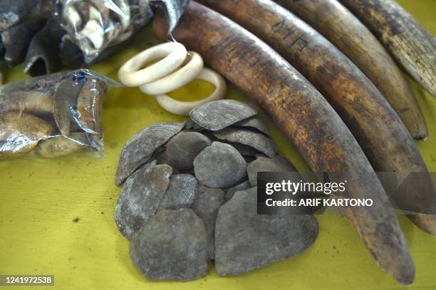 Seized animals body parts including pangolin scales and elephant tusks are displayed during a press conference at the Customs Complex in Port Klang...