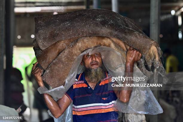 Worker carries rawhide from sacrificed cattle in the Eid al-Adha Muslim festival, at a tannery in Savar on July 18, 2022.