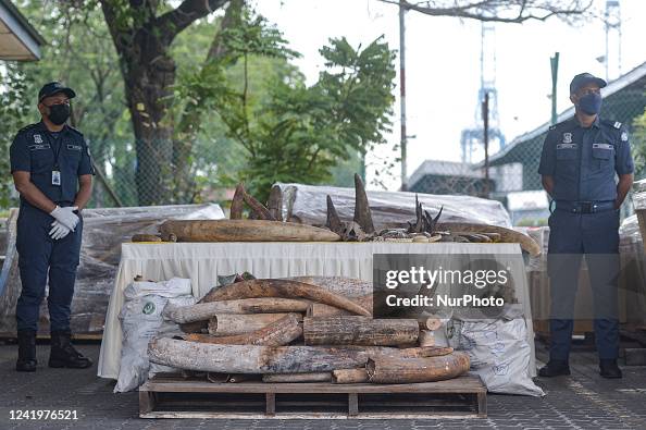 Malaysia Wildlife Trafficking Malaysia Wildlife Trafficking
