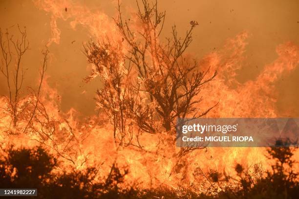 Flames rise at a forest fire in Pumarejo, near Zamora, northwest Spain, on July 18, 2022. - Emergency services battled several wildfires as Spain...
