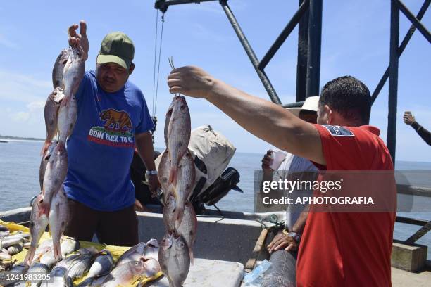 Fisherman awaits to sell recently caught fish on July 18, 2022 in La Libertad, El Salvador. According to El Salvador's Ministry of Health more than...