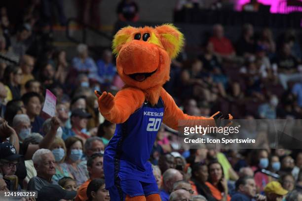 Blaze, the Connecticut Sun's mascot, pumps up the crowd during the WNBA game between the Las Vegas Aces and the Connecticut Sun on July 17 at Mohegan...