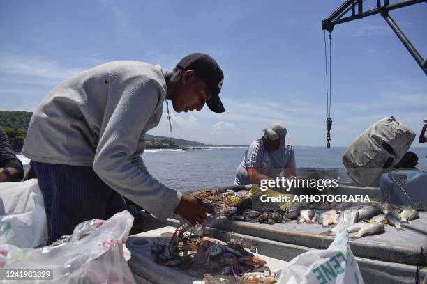 Fisherman awaits to sell recently caught fish on July 18, 2022 in La Libertad, El Salvador. According to El Salvador's Ministry of Health more than...