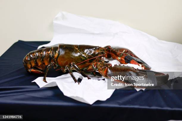 The lobster given to the winner of the race on display before the NASCAR Cup Series Ambetter 301 on July 17 at New Hampshire Motor Speedway in...