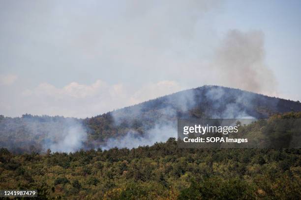 Cloud of smoke is seen after a large wildfire rages in the hills near Rence. A large forest fire broke out in the hills of the Karst region of...