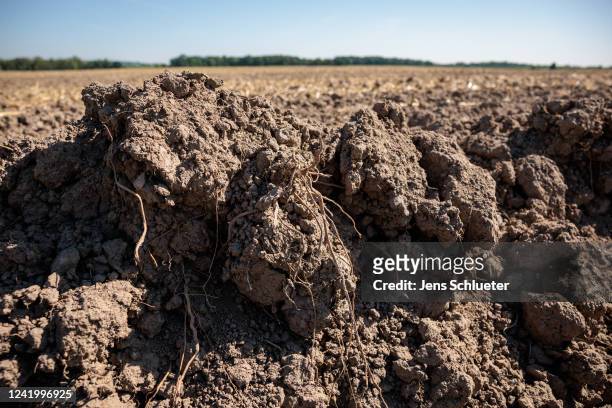 Dry topsoil on a field during a heat wave on July 19, 2022 in Zschepplin near Leipzig, Germany. Temperatures are expected to reach up to 40 degrees...