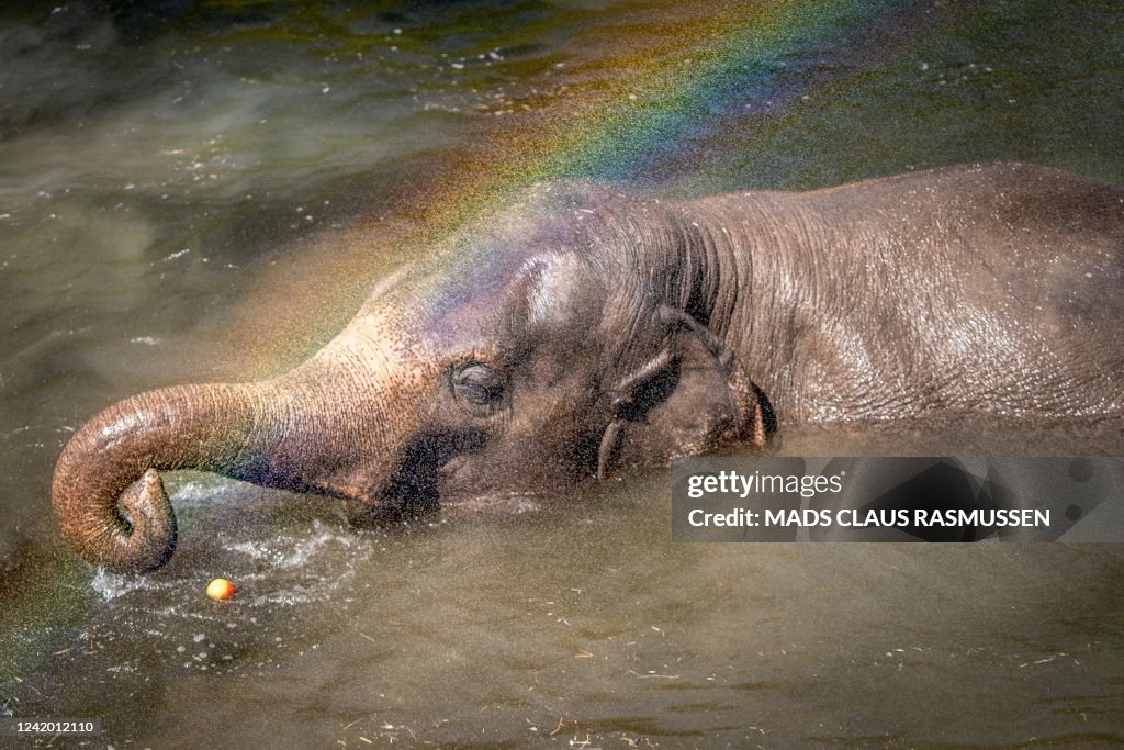 DENMARK-WEATHER-ZOO