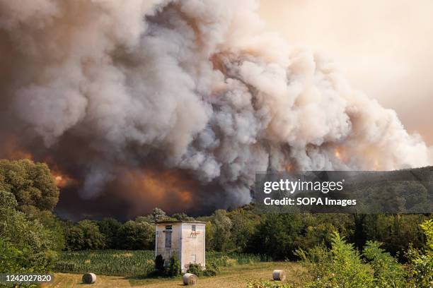 Large wildfire rages near Miren. Over a thousand firefighters with air support from a Croatian Canadair firefighting airplane, three Slovenian...