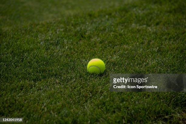 General view of a tennis ball on the grass at the Infosys Hall of Fame Open on July 15 at the International Tennis Hall of Fame in Newport, RI.