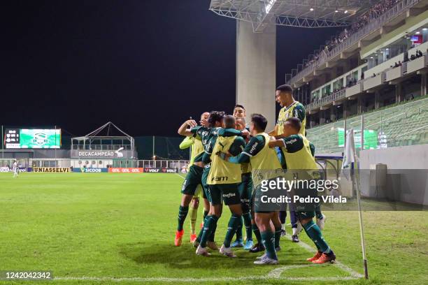 Gustavo Scarpa of Palmeiras celebrates with teammates after scoring the first goal of their team during a match America Mineiro and Palmeiras as part...