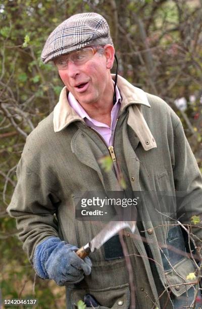Britain's Prince Charles reacts during a hedgelaying practice 29 October 2005 at the National Hedgelaying championships at Home farm, in Tetbury. AFP...