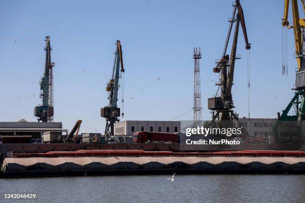 Grain carriers wait to reload its cargo to barges at Reni river port on Danube river, in Odesa region, Ukraine, July 21, 2022.