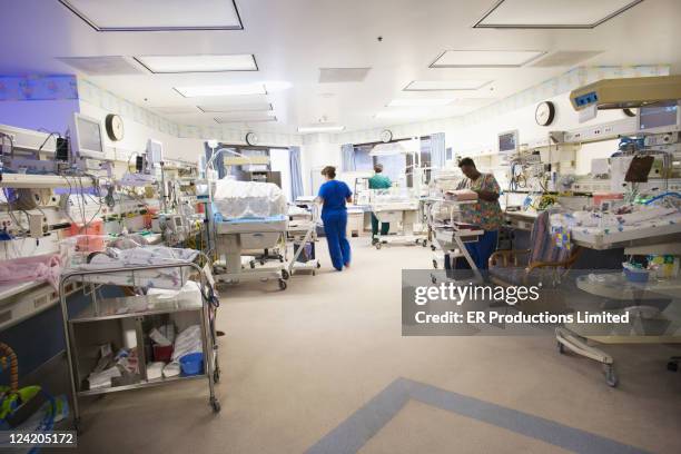 nurses working in hospital nursery - sala de maternidad fotografías e imágenes de stock