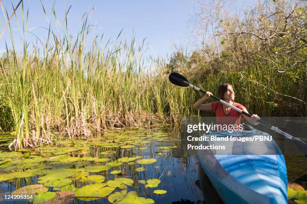hispanic woman paddling kayak in everglades - everglades national park stock pictures, royalty-free photos & images