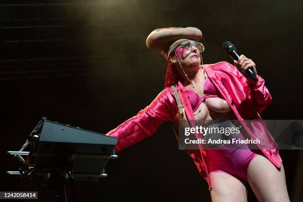 Berlin, Germany. 22nd Nov, 2019. Peaches, singer from Canada