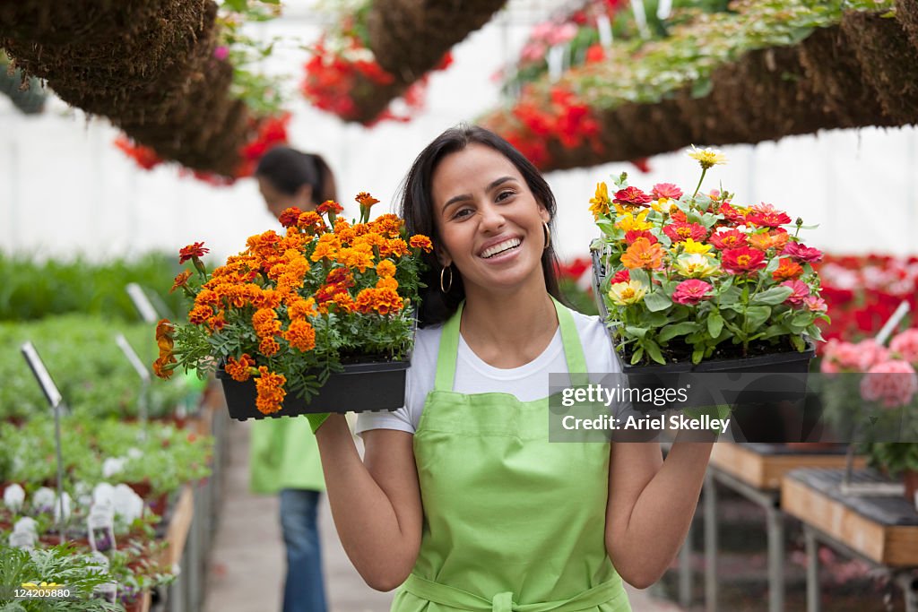 Hispanic woman holding flower trays in plant nursery