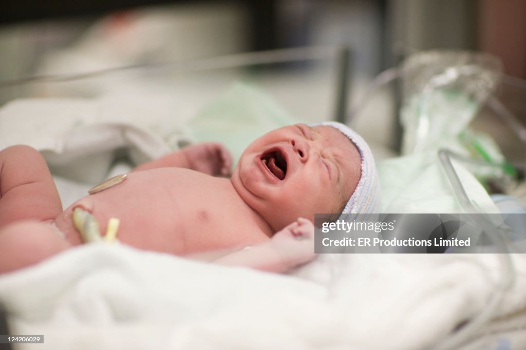 Newborn baby girl llanto en el hospital bassinet