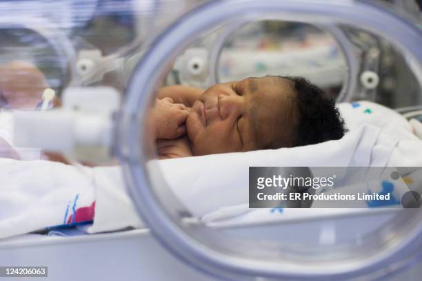 baby boy laying in hospital incubator - incubator stock pictures, royalty-free photos & images