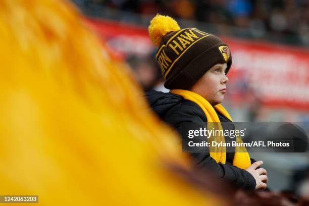 Young Hawthorn fan watches on during the 2022 AFL Round 19 match between the North Melbourne Kangaroos and the Hawthorn Hawks at Blundstone Arena on...