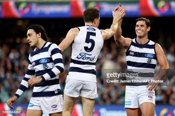 Jeremy Cameron of the Cats celebrates a goal during the 2022 AFL Round 19 match between the Port Adelaide Power and the Geelong Cats at Adelaide Oval...