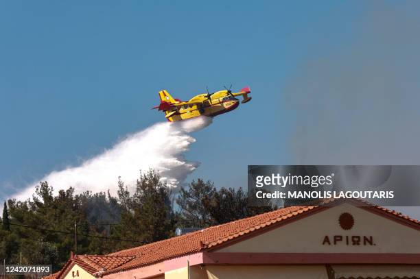Canadair firefighting plane drops water at the wildfire approaching homes and hotels at Vatera coastal resort on the eastern island of Lesbos on July...