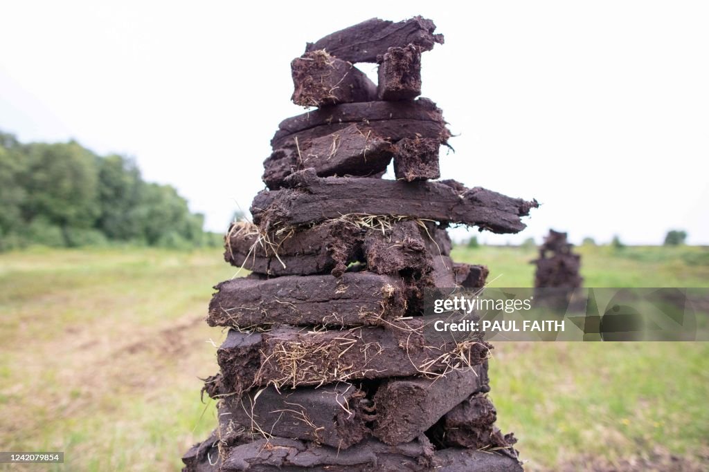 Turf Ireland Irish turf, cut the Bog of Allen, is pictured drying in a field... News ...