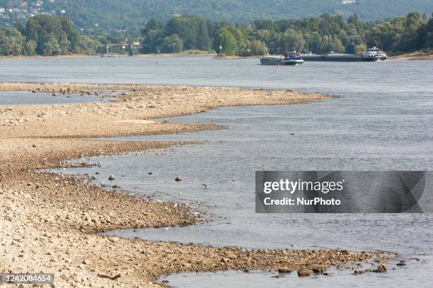 Two cargo vessels are seen on the Rhine river in Bad Honnef, Germany on July 23, 2022 as rain has slightly raised the water levels on the Rhine,...
