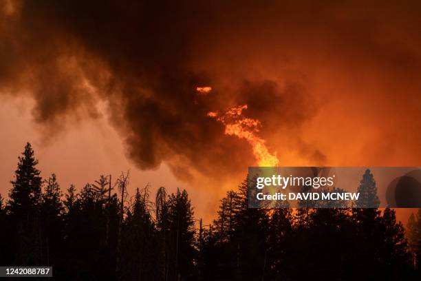 Forest is incinerated by the Oak Fire near Midpines, northeast of Mariposa, California, on July 23, 2022. The California wildfire ripped through...