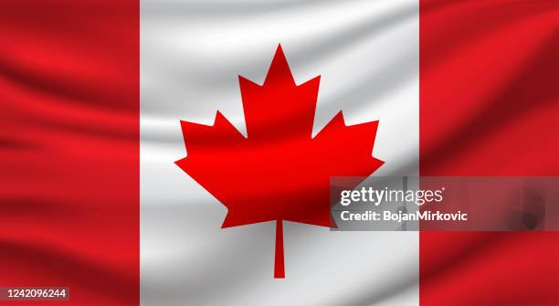 ilustrações, clipart, desenhos animados e ícones de bandeira do canadá. vetor - canadian flag