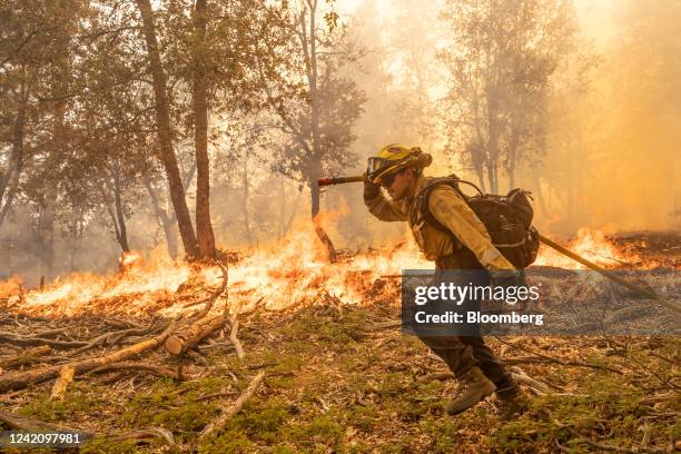 Firefighter work to control a backfire operation conducted to slow the advancement on a hillside during the Oak Fire in Mariposa County, California,...