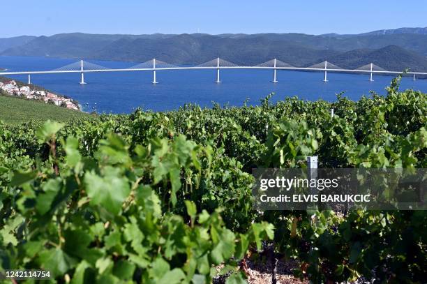 Photograph shows a view of the "Peljesac" bridge in Ston on July 18, 2022. The bridge linking Peljesac peninsula with the Croatian mainland has been...