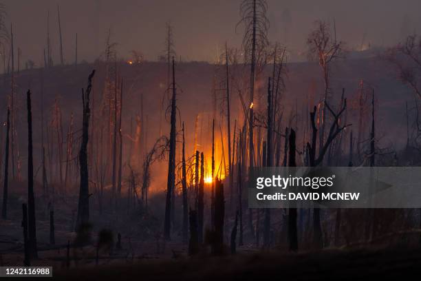 This photograph taken on July 25 shows embers falling from trees of a forest destroyed by the Oak Fire near Mariposa, California, burning west of...