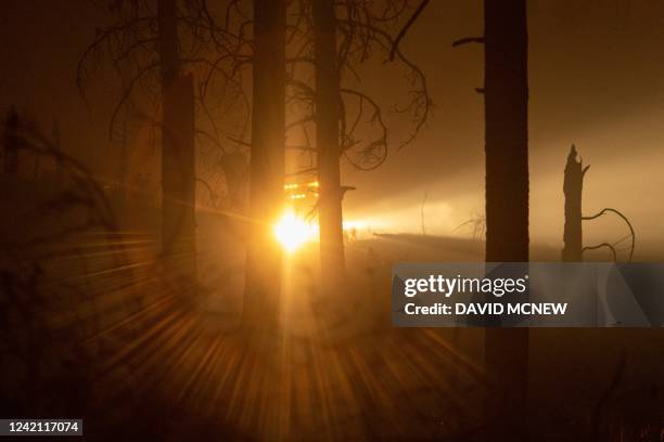 This photograph taken on July 25 shows a firefighter vehicule driving through an incinerated forest at night during the Oak Fire near Mariposa,...