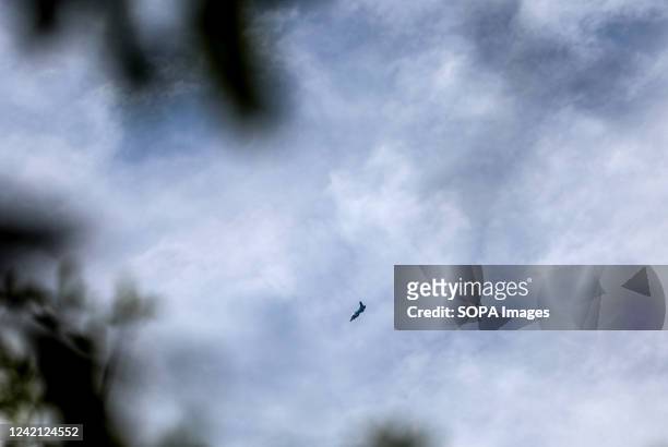 Burmese Army Tatmadaw airplane flies over the sky after bombing the quarters of Karenni Nationalities Defence Force . The Karenni Nationalities...