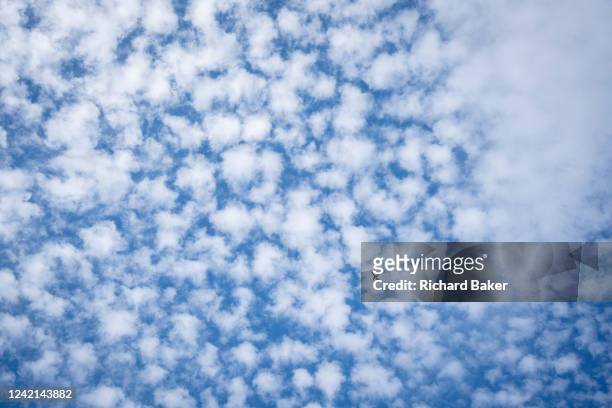 Single jet airliner flies across south London skies, its shape silhouetted against altocumulus cloud formations on its in-flight journey overhead, on...