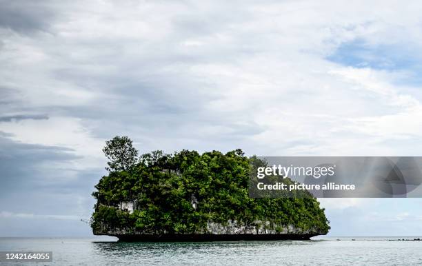 An island of the island republic of Palau. Photo: Britta Pedersen/dpa